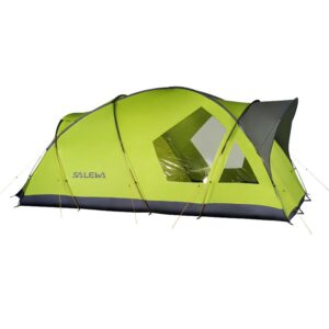 Salewa Alpine Lodge V Cactus/Grey